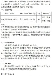 江漢大學表演(服裝表演與設計)招生簡